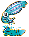 Squid Proxy Server