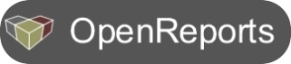 Openreports BI